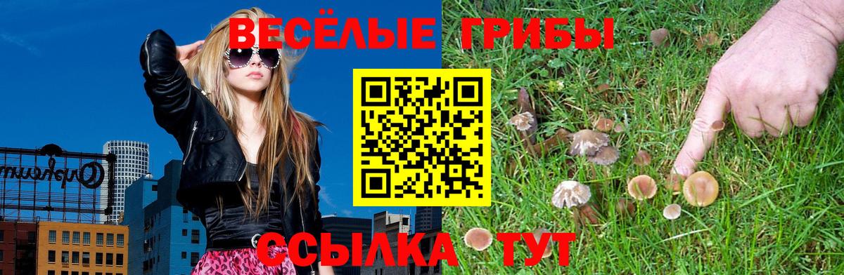 Псилоцибиновые грибы мицелий  Галлюциногенные грибы Psilocybine cubensis  Вход с VPN  наркотики  Сланцы 