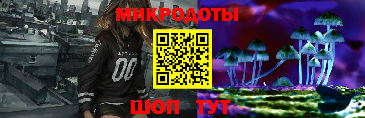 ГАШ Сланцы